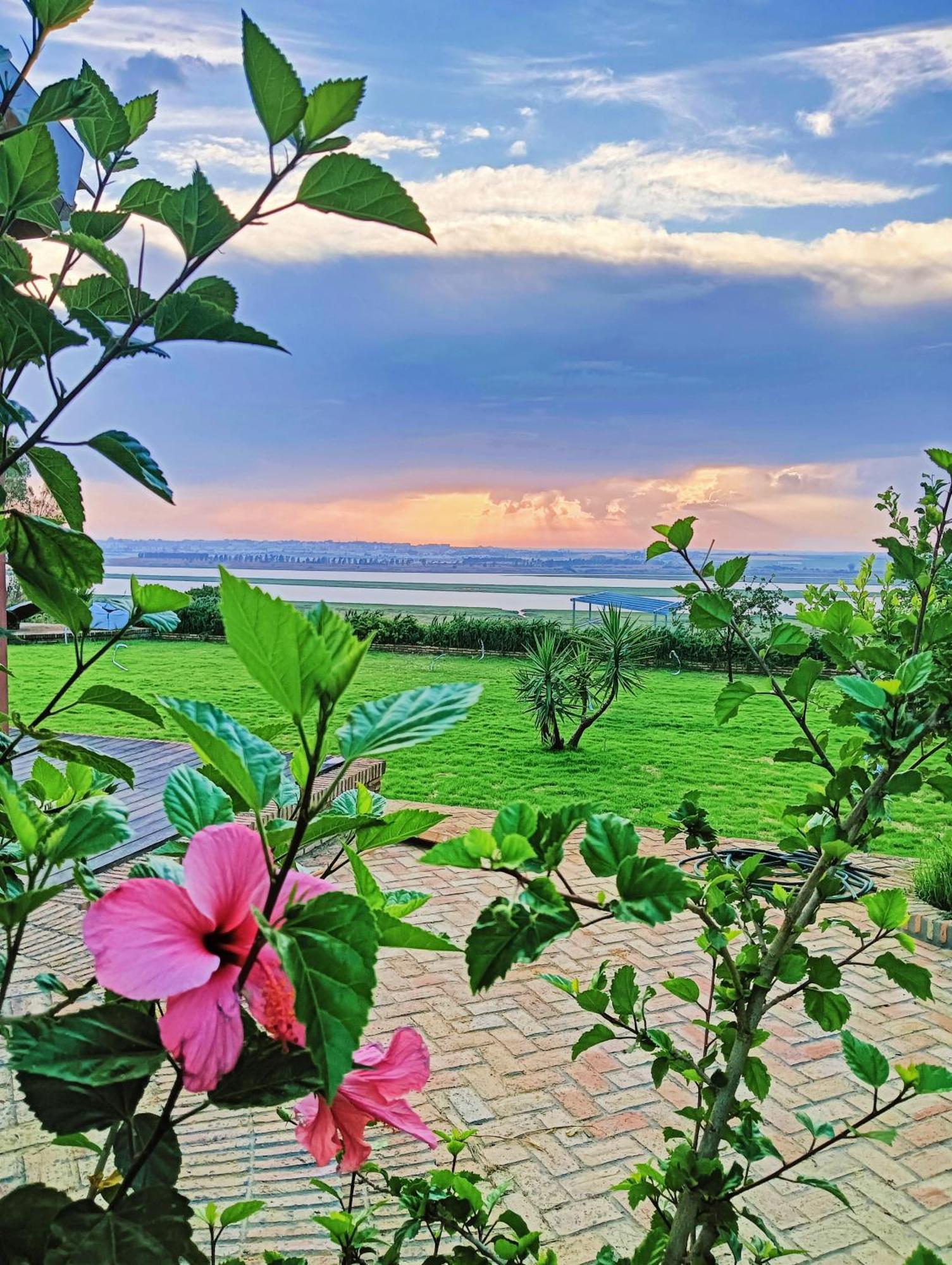 Finca Mis Morenas Палос-де-ла-Фронтера Екстер'єр фото
