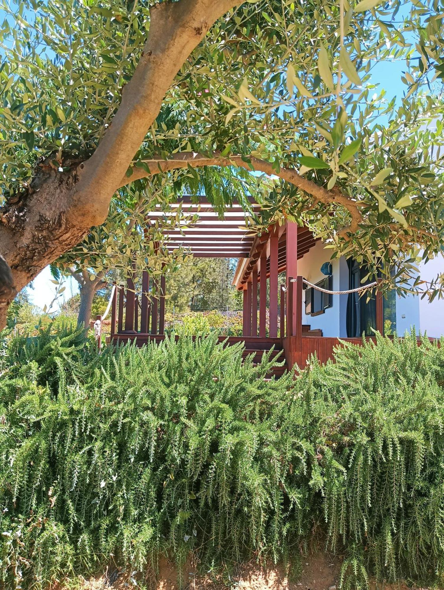 Finca Mis Morenas Палос-де-ла-Фронтера Екстер'єр фото